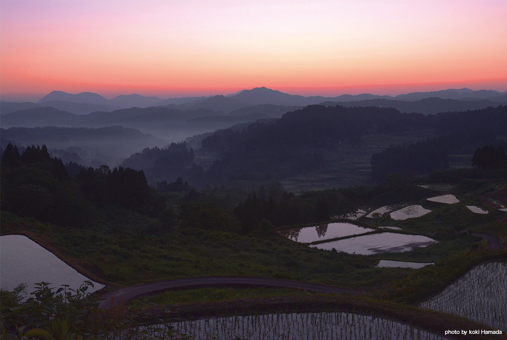 大月の棚田