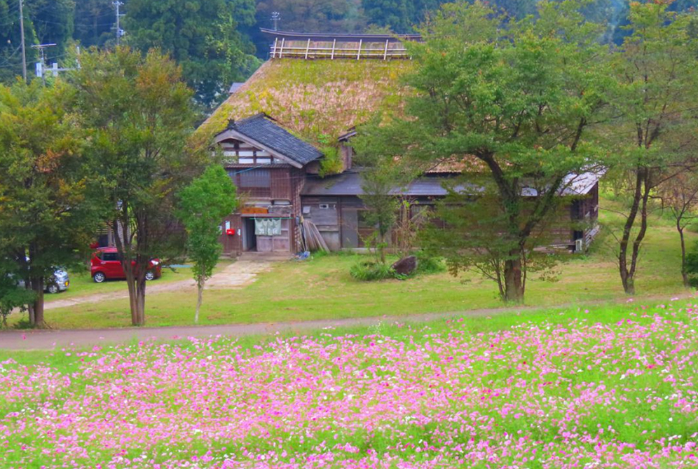 牧ふるさと村 自然と憩の森